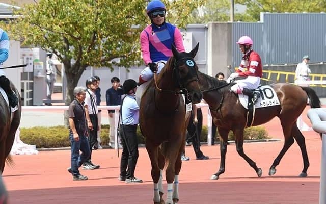 【阪神4R新馬戦結果】メイショウキルギスが逃げ切ってデビューV！