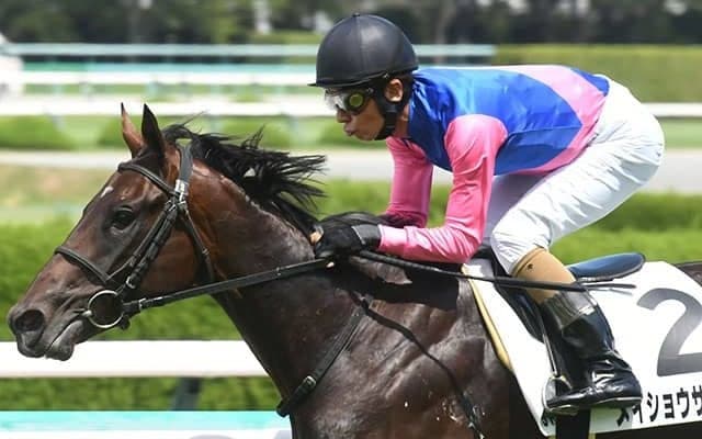 アドミラブル産駒JRA初勝利 メイショウサチダケが逃げ切りV/阪神5R結果