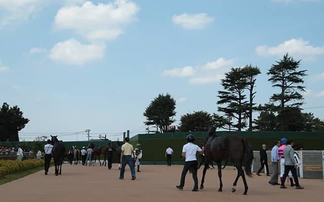 【アスター賞結果】キャットファイトが5馬身差でレコードV！