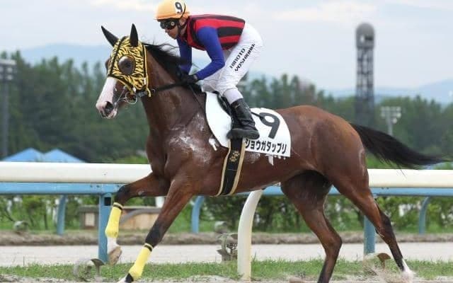 【佐賀競馬】佐賀で開催される珍しい条件の3歳戦 西日本ダービーの注目馬を一挙紹介