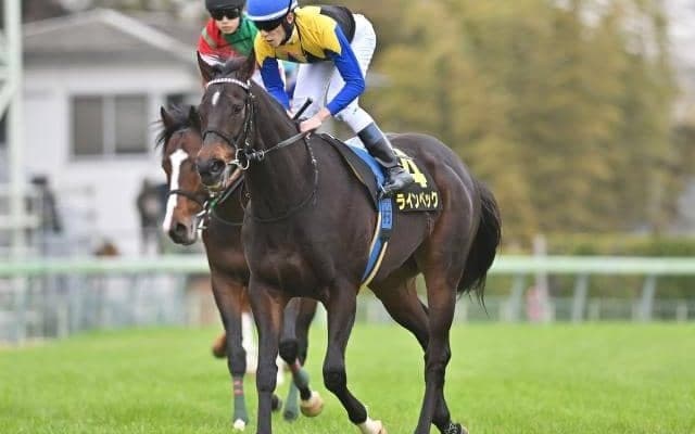 【京成杯AH予想】前走3着以内好走馬が中心 狙いは前走凡走馬の一変！