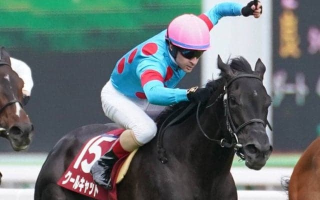 クールキャットが競走馬登録抹消
