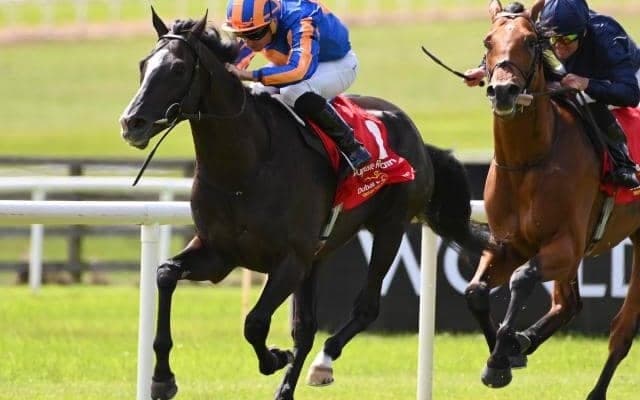 ディープインパクト産駒オーギュストロダン復活！ キングジョージ最下位から巻き返し愛チャンピオンS制覇