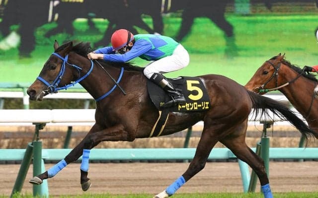 過去に200万馬券も飛び出した京成杯AH　今年のレースで高配当をもたらすのはこの２頭