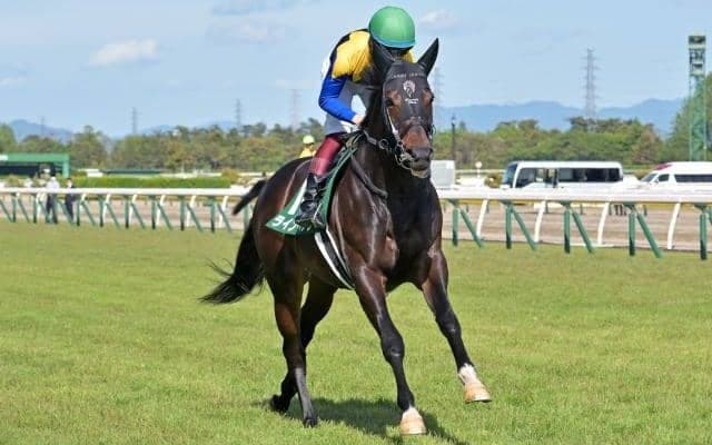 【京成杯AH予想】サマーマイルシリーズ最終戦 秋競馬の開幕告げるハンデ重賞