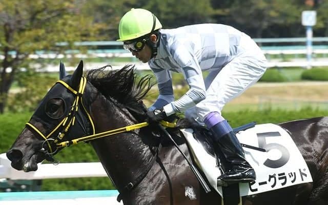 【阪神4R新馬戦結果】ビーグラッドが人気に応えて逃げ切りV！
