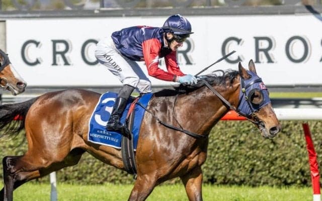 【オーストラリア競馬】マイネルレガシーが通算5勝目…川上氏「アデレードカップ狙っていきたい」