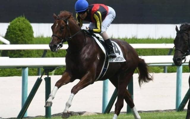 【阪神5R新馬戦結果】5番人気のサークルオブジョイが押し切ってデビューV！