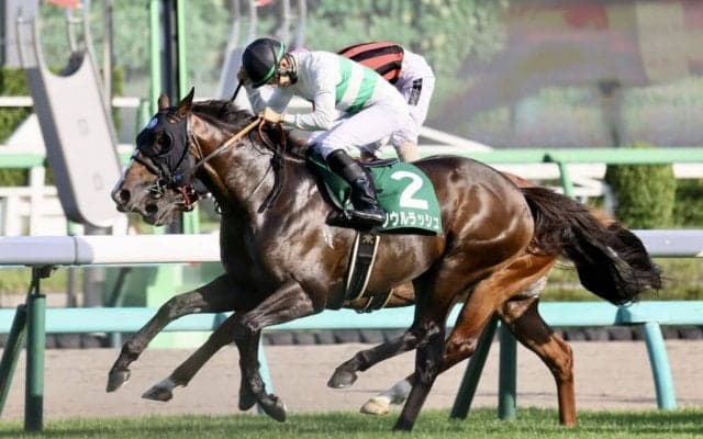 【京成杯AH】ソウルラッシュが貫禄の差し切りV