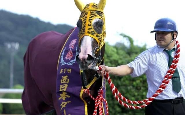 6馬身差で重賞7勝目 ショウガタップリが巻き返しのV/佐賀・西日本ダービー結果