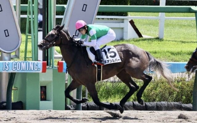 【新馬/中山3R】シルバーステート産駒 ネオシルバーがデビュー勝ち