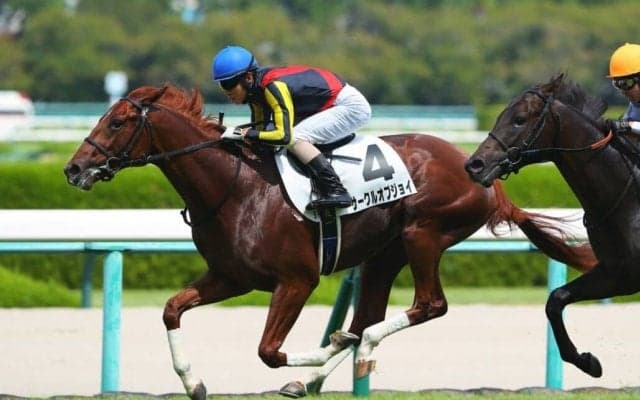 【新馬/阪神5R】5番人気サークルオブジョイがデビューV…1番人気のブラーヴイストワルは2着