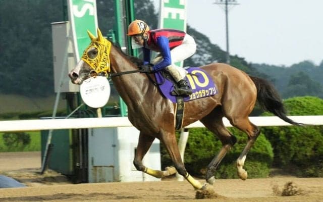 【佐賀・西日本ダービー】ショウガタップリが断然の支持に応える…吉原「メンタルの強さに脱帽」