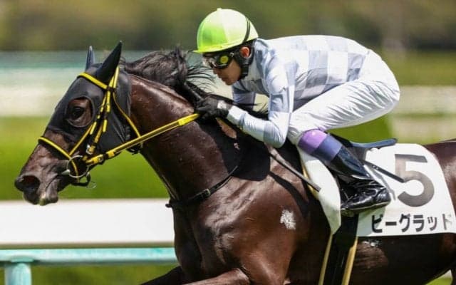 【新馬/阪神4R】武豊「前向きさがある」ビーグラッドがデビューV