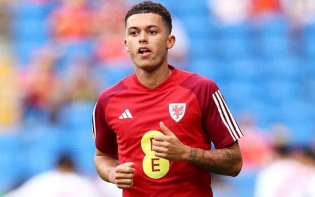 トッテナム移籍のB・ジョンソンを代表仲間が語る  「ベイルやケインのレベルに達するだけのポテンシャルはある」