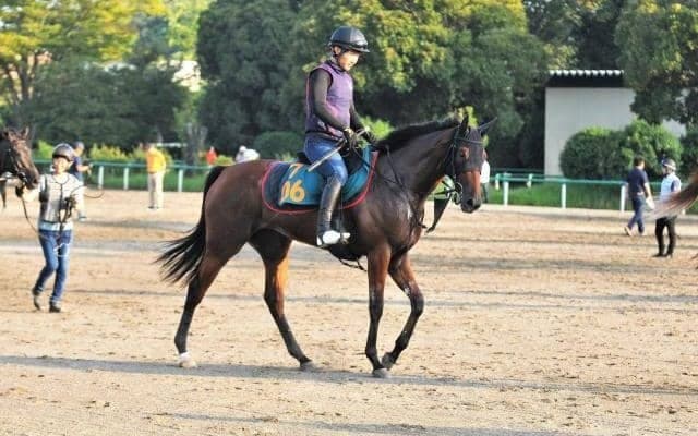近親に米G1覇者や秋華賞2着馬 世代屈指の良血がルメール騎手背に初陣/関東馬メイクデビュー情報
