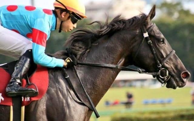 【先週のJRA抹消馬】21年のフローラS制したクールキャット、京都新聞杯でのちのダービー馬破ったレッドジェニアルなど