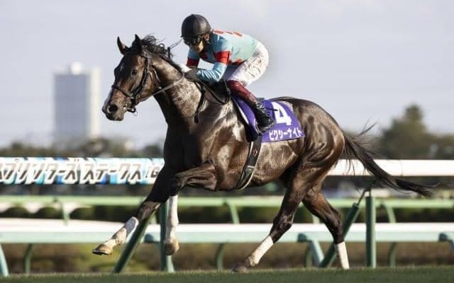 次走では全ての条件が好転 復帰後連敗中でも血統的には侮れないピクシーナイト