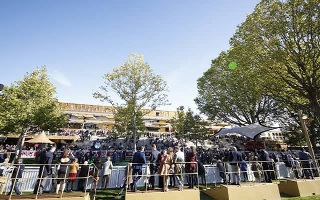 仏の4歳牝馬がフォワ賞制覇 差し切り勝ちで昨年覇者撃破