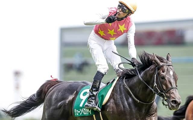 【阪神JS想定騎手】ジューンベロシティは西谷誠騎手、ホッコーメヴィウスは平沢健治騎手