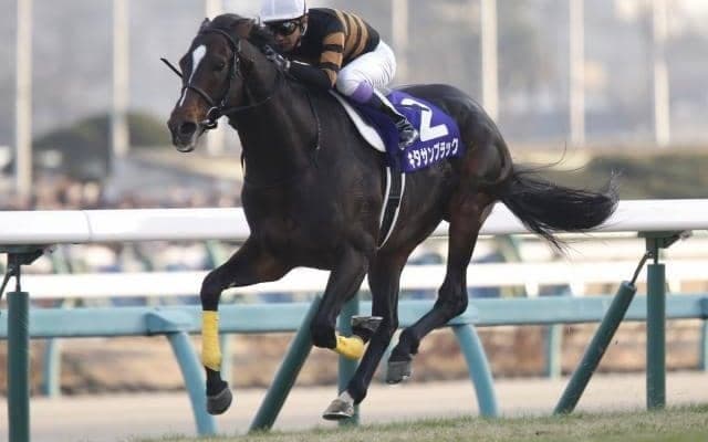 予想で特に血統を活用したほうがいい時とは？ 距離や馬場状態はもちろんだが…