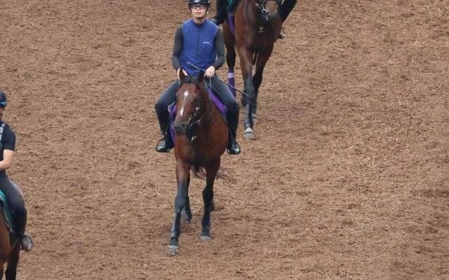 ドウデュースなど、先週の入厩情報/栗東トレセンニュース