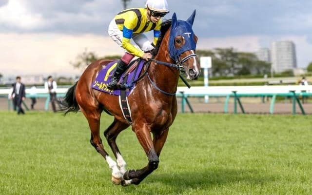 【セントライト記念予想オッズ】ソールオリエンスが予想1番人気
