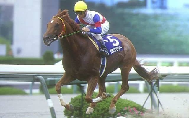 既にミリオンホースが8頭誕生 米キーンランド・セプテンバーセールと日本のつながり