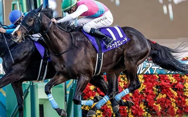 【セントライト記念展望】東の菊花賞トライアル、中山コース実績に注目