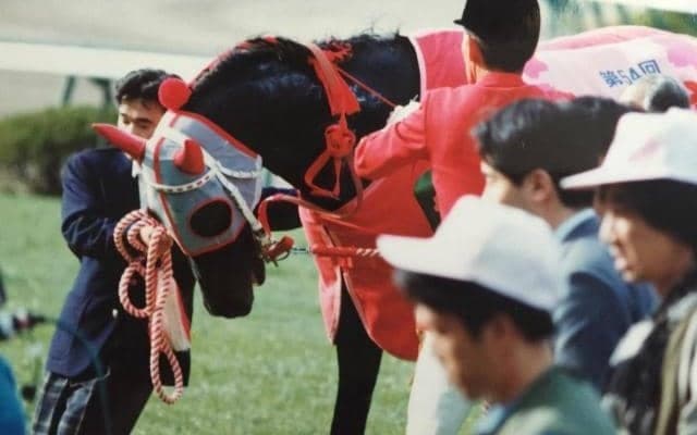 オグリローマンの血を引くホークマン 初タイトル獲得なるか/川崎・若武者賞