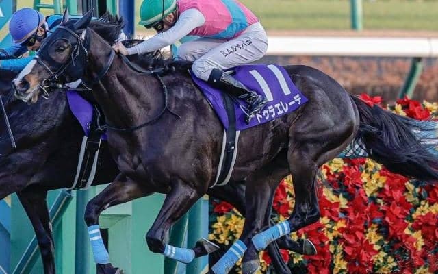 22年ホープフルS覇者がセントライト記念参戦 思い出の地で重賞2勝目狙う
