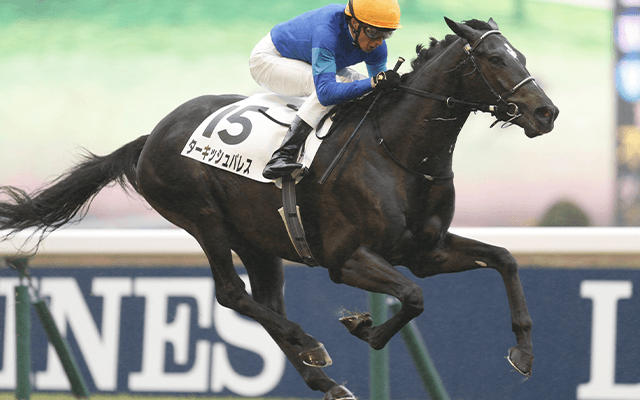 20年の菊花賞出走馬やエリザベス女王杯覇者の仔など ネットオークションに出品