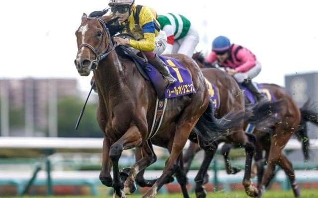 【セントライト記念出走馬・騎手確定】ソールオリエンス＆横山武史騎手、レーベンスティール＆J.モレイラ騎手など15頭