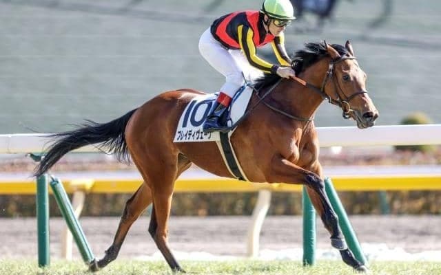 【ローズS出走馬・騎手確定】ブレイディヴェーグ＆C.ルメール騎手、ソーダズリング＆武豊騎手など17頭