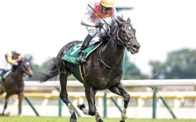 【阪神ジャンプS出走馬・騎手確定】ジューンベロシティ＆西谷誠騎手、ホッコーメヴィウス＆平沢健治騎手など14頭