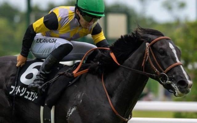 孝行娘の良血がローズSで重賞再挑戦 前走は着差以上の完勝だけに期待十分か