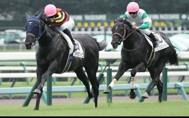 【新馬/中山5R】単勝1.5倍フォルラニーニが断然人気に応える