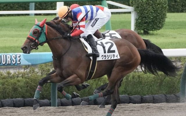 【新馬/中山4R】ヘニーヒューズ産駒 グラシリティがデビューV