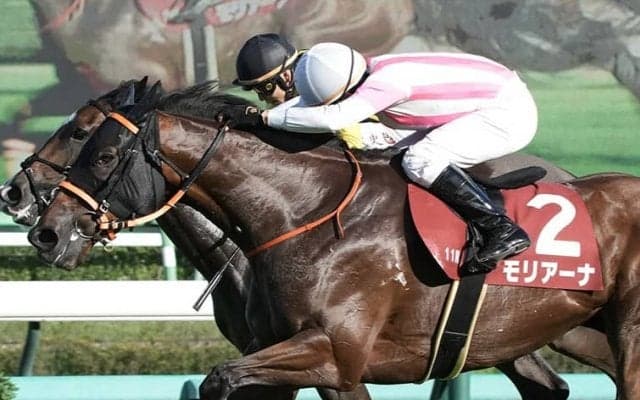 【紫苑S】横山典「無事に行ってほしい」モリアーナが重賞初制覇