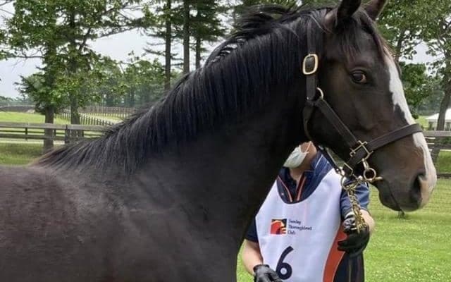 名牝系出身のエピファネイア産駒 モレイラ騎手とのコンビでデビュー