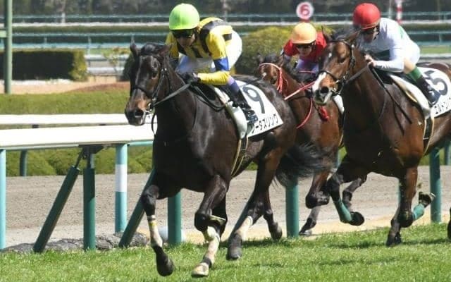 【ローズS枠順確定】ブレイディヴェーグは3枠5番、ソーダズリングは1枠2番