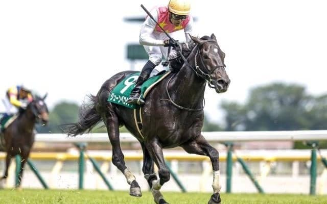 【阪神JS枠順確定】ショウナンアーチーは5枠7番、ジューンベロシティは7枠11番