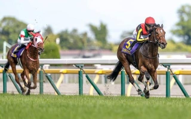 阪神優勝は三冠馬誕生の前兆？ 18年前にはディープインパクトが達成