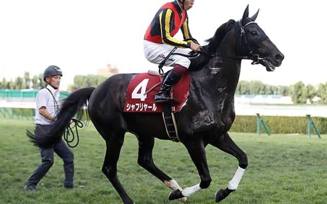 シャフリヤールが騎乗運動を再開 秋プランは米遠征含めてこれから検討