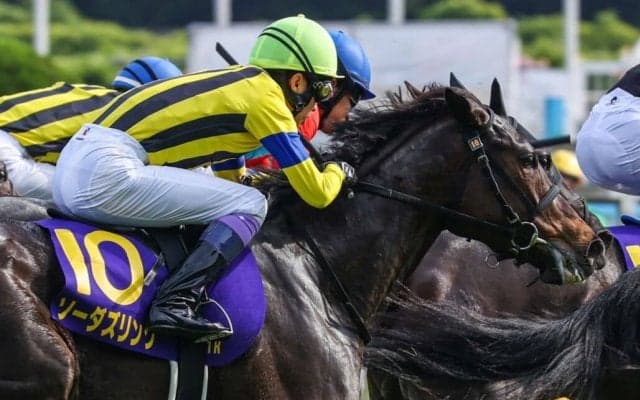 武豊騎手 今週の騎乗馬…ローズSにはソーダズリングで参戦