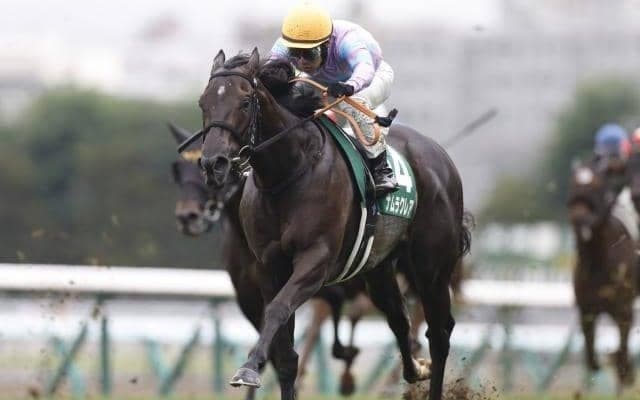 【スプリンターズS想定馬・騎手】ナムラクレアやママコチャなど22頭