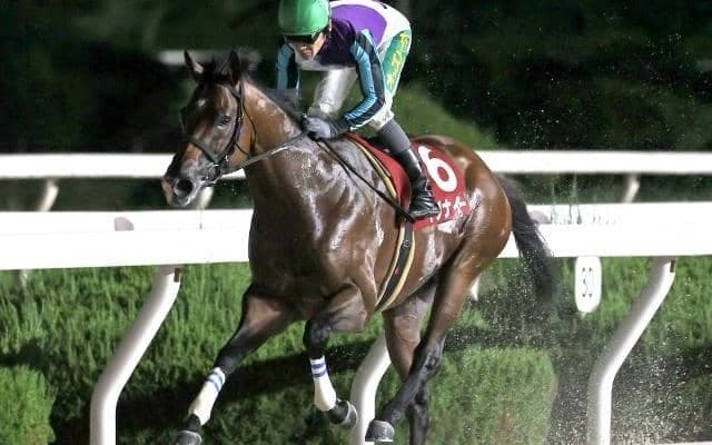 【園田・園田チャレンジC結果】イグナイターが逃げ切って重賞6勝目を挙げる