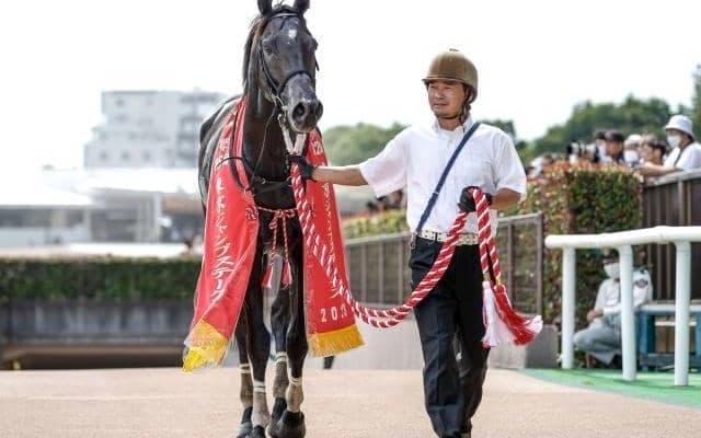 【今日の注目ポイント】3日間開催初日 障害重賞の阪神JS
