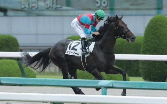 【阪神JS予想】3140mの距離に12の障害 安定した飛越とスタミナが求められるコース