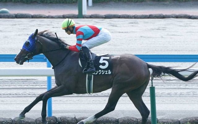 ローズＳは「特注血統」から２頭をピックアップ 直近２レースを圧勝の３歳牝馬、牝系が優秀な３歳牡馬に期待